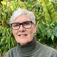 Ms Jane Ewins