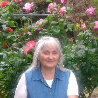 Mrs Alison Newton